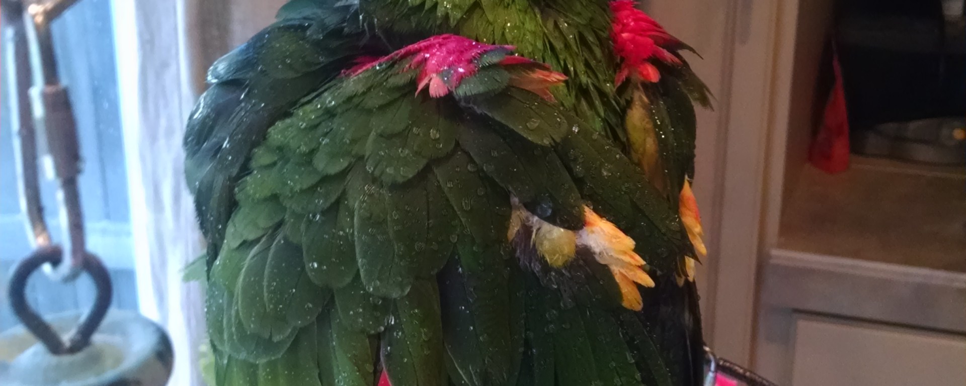 Vi gets a bath!