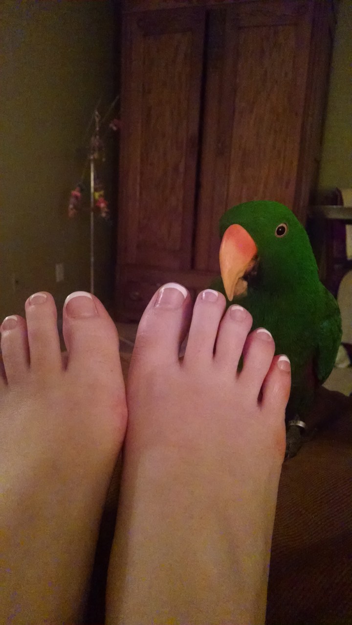 img_20160306_203632056